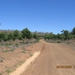 Ruta de la Plata 1 095