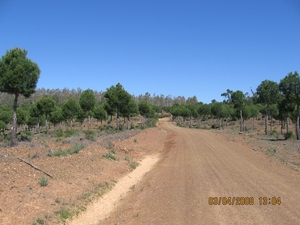 Ruta de la Plata 1 095