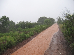 Ruta de la Plata 1 229
