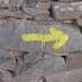 Ruta de la Plata 2 179
