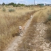 Ruta de la Plata 2 224