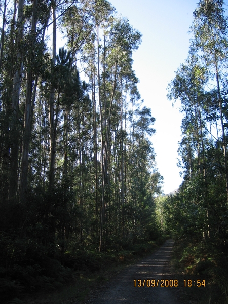 Ruta de la Plata 2 536