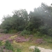 heide 2011 002