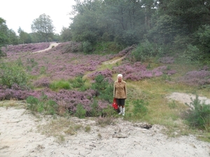 heide 2011 004