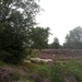 heide 2011 008