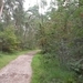 heide 2011 045