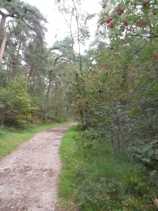 heide 2011 045