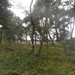 heide 2011 050