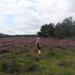 heide 2011 059
