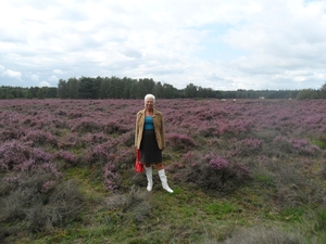 heide 2011 060