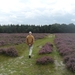 heide 2011 063