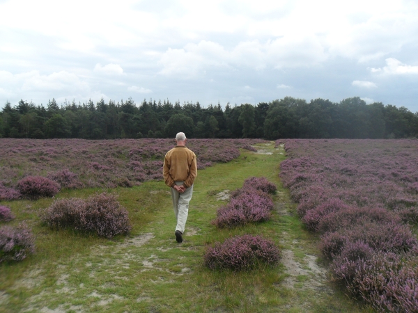 heide 2011 063