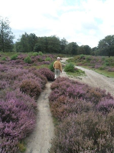 heide 2011 069