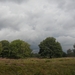 heide 2011 076