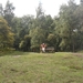 heide 2011 077