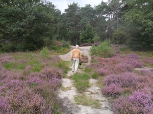 heide 2011 086