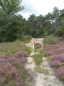 heide 2011 087