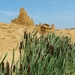 zandsculptuur blankenberghe 099