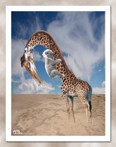 WS 2010 - 105 girafkoala