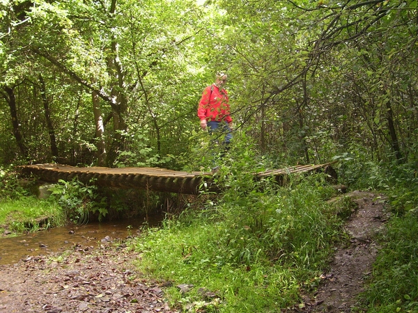 brugje in bos