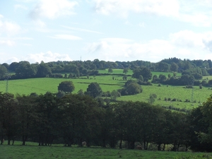 groen landschap