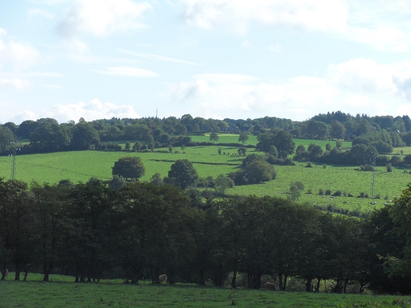 groen landschap