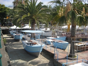 Madeira 2011 056