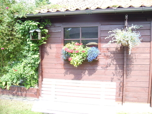 Afbeelding 084