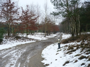 de eerste sneeuw in limburg