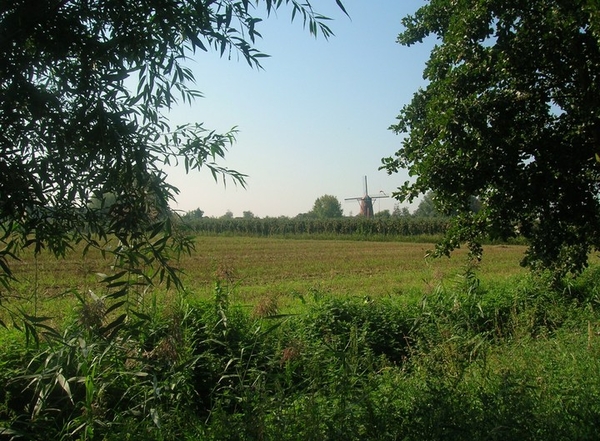 Molen