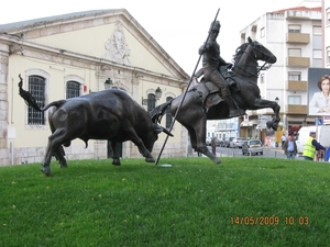 Camino Portugues 069
