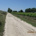 Camino Portugues 112