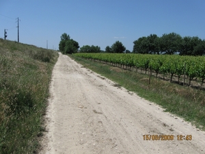 Camino Portugues 112