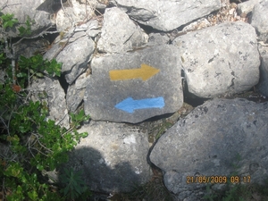 Camino Portugues 363