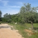 Camino Portugues 364