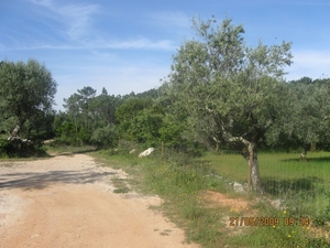 Camino Portugues 364