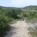 Camino Portugues 371