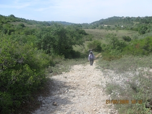 Camino Portugues 371