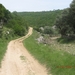 Camino Portugues 387