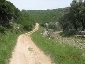 Camino Portugues 387