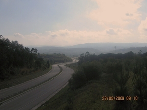 Camino Portugues 431