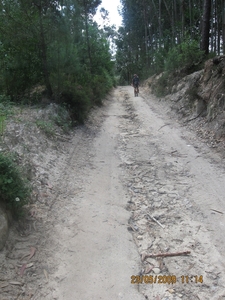 Camino Portugues 447