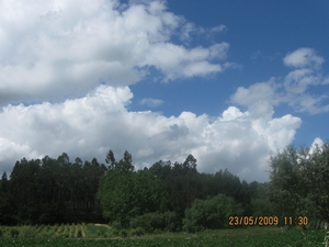 Camino Portugues 451
