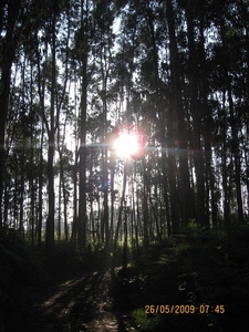 Camino Portugues 544
