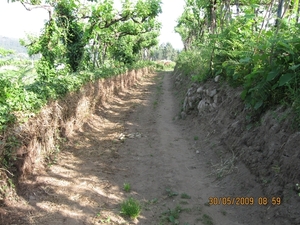 Camino Portugues 702