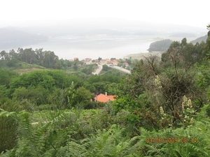 Camino Portugues 884