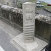Camino Portugues 893
