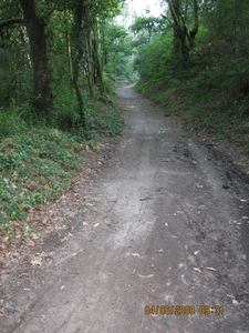 Camino Portugues 946