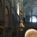 Camino Portugues 1032