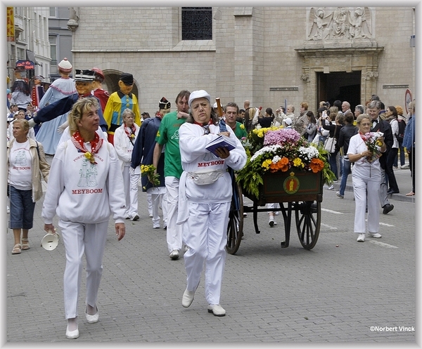 sized_sized_DSC31725a brussel -meiboom